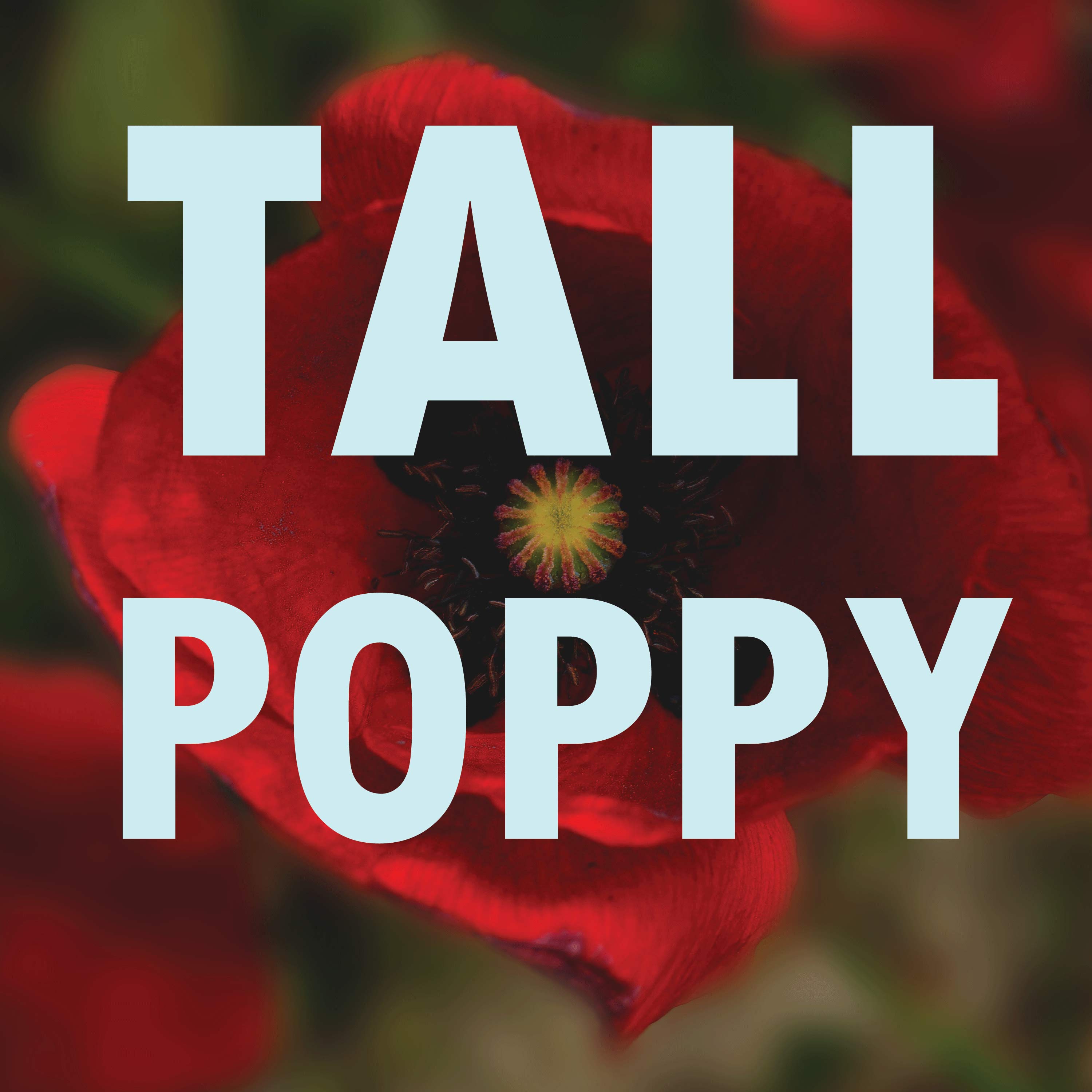Tall Poppy
